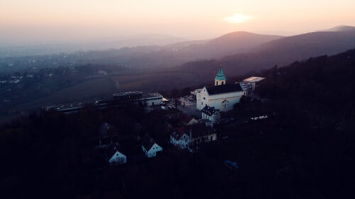 Kahlenberg's terraced vineyards, where centuries of wine culture shape the hillside.