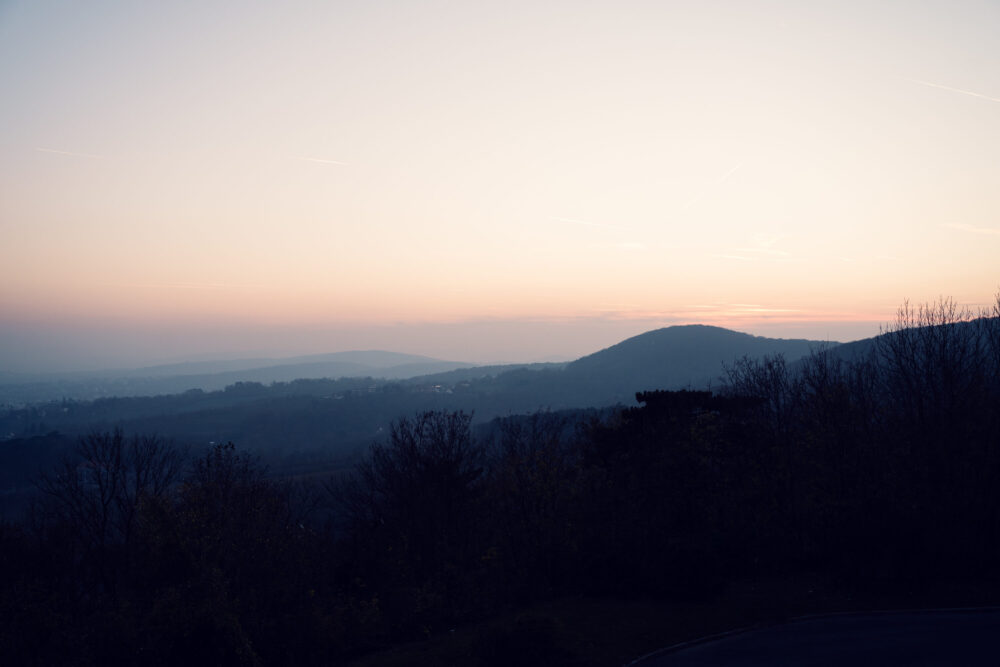 Autumn colors transforming Kahlenberg forest paths into golden corridors.