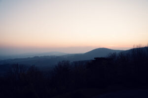 Autumn colors transforming Kahlenberg forest paths into golden corridors.