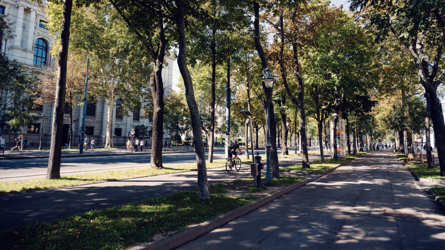 Vienna's Ringstrasse boulevard at sunset, lined with 19th-century architectural landmarks including the State Opera, Parliament, and University, showcasing the city's grand Imperial heritage.