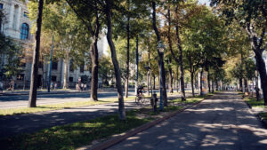 Vienna's Ringstrasse boulevard at sunset, lined with 19th-century architectural landmarks including the State Opera, Parliament, and University, showcasing the city's grand Imperial heritage.