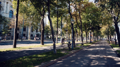 Vienna's Ringstrasse boulevard at sunset, lined with 19th-century architectural landmarks including the State Opera, Parliament, and University, showcasing the city's grand Imperial heritage.