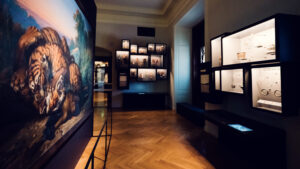Weltmuseum Vienna, located in the historic Neue Burg, houses one of Europe's leading ethnographic collections.