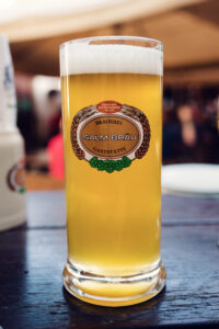 Wiener Salm Bräu beer glass Vienna traditional Austrian craft beer with brewery logo, local Vienna beer experience at historic brewery.