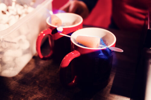 Mulled wine and traditional Austrian treats at vendor chalets, Belvedere Palace (Schloss Belvedere) Christmas Village.