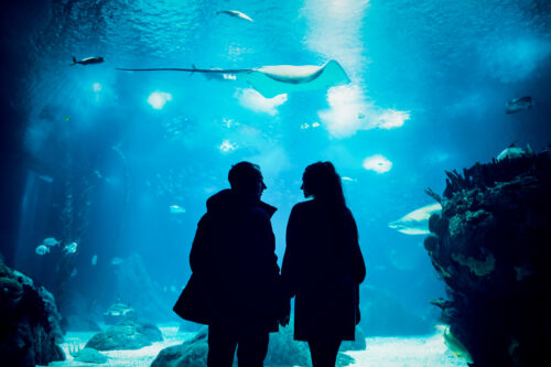 Your Vienna Photographer - Book the Best Travel Photoshooting - 28