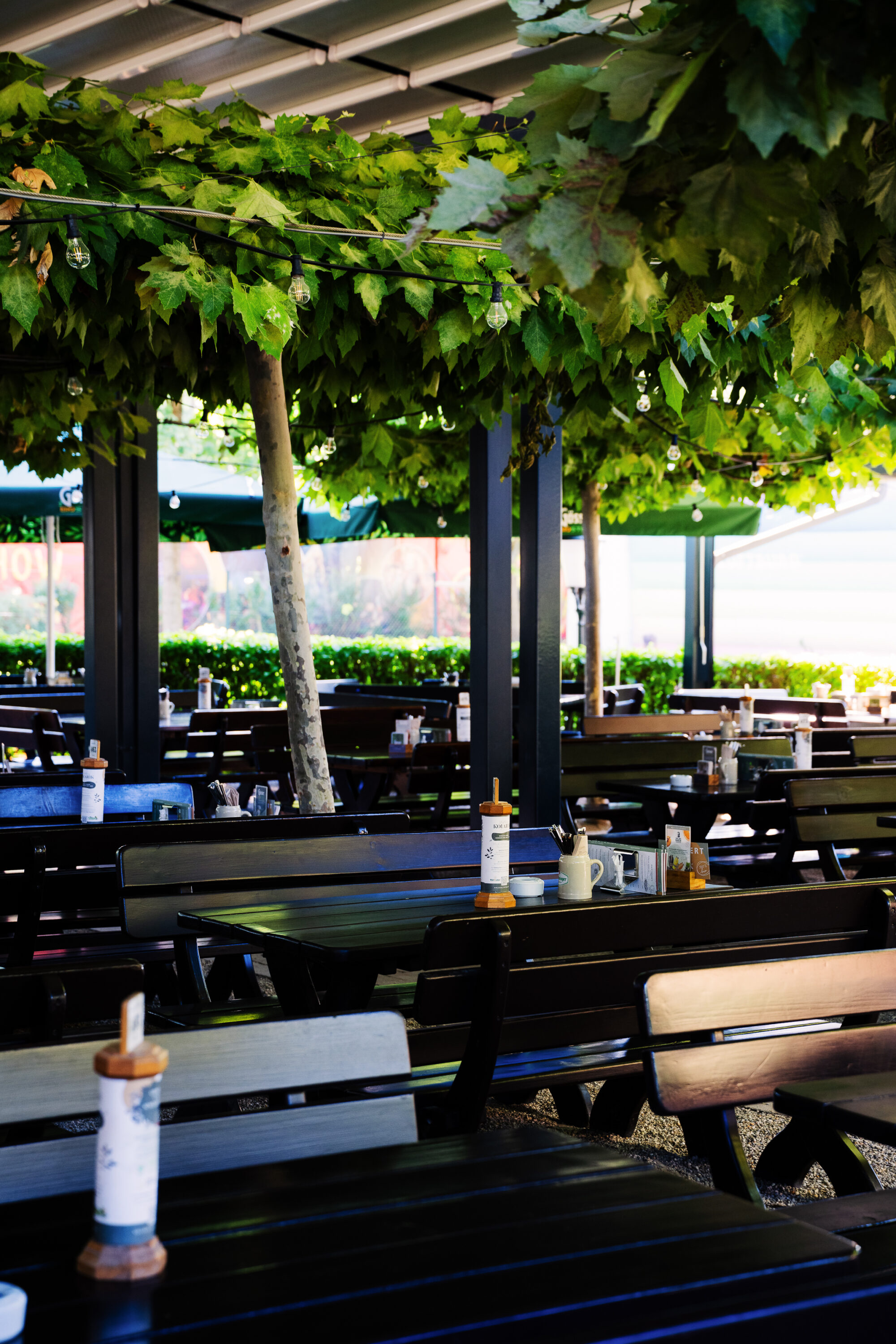 Luftburg Kolarik's terrace, offering a relaxing spot amidst the greenery of the Prater park.