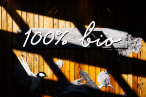 Thoughtfully crafted design details at Luftburg Kolarik, enhancing the dining experience with style and sophistication.