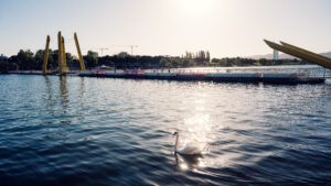 A swan gliding across the Neue Donau near the yellow Ponte Cagrana pylons.